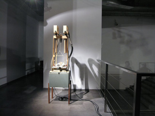 Hans van Koolwijk, Hans van Eck