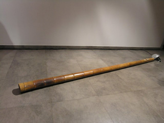 Hans van Koolwijk, Hans van Eck
